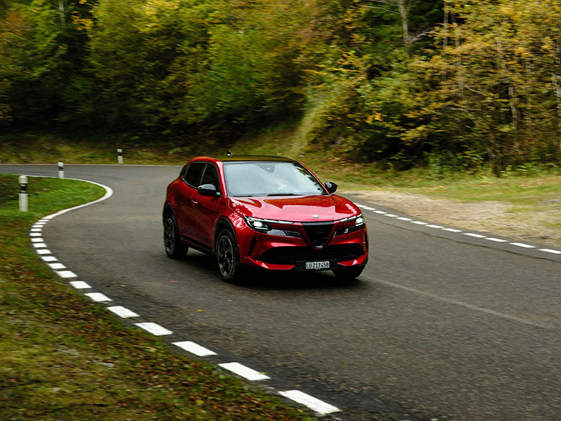 Alfa Romeo Junior Landschaft Wald Kurve