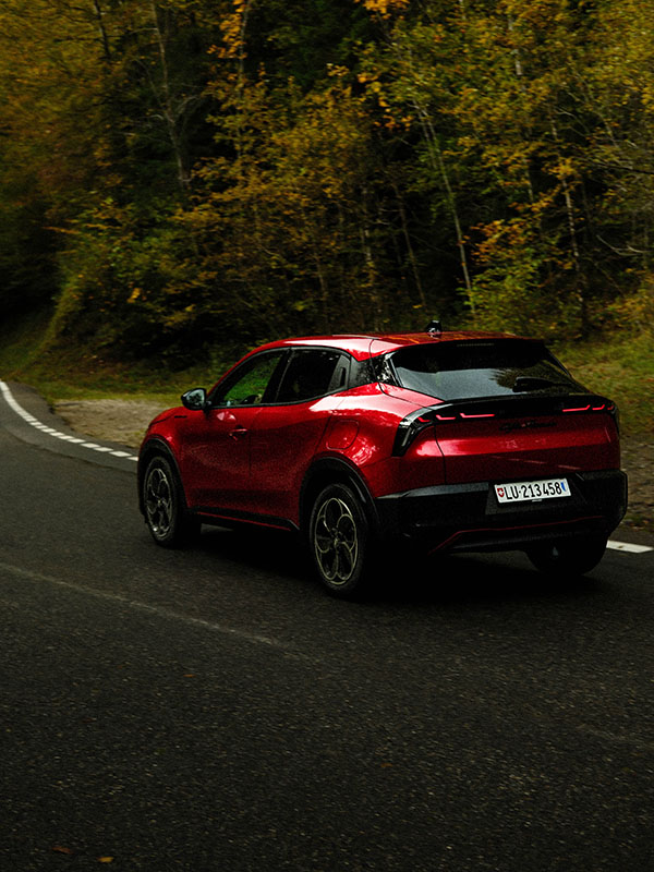 Alfa Romeo Junior Rücklicht Landschaft Wald