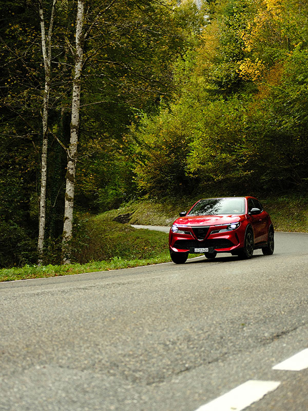 Alfa Romeo Junior Vorderlichter Landschaft Wald