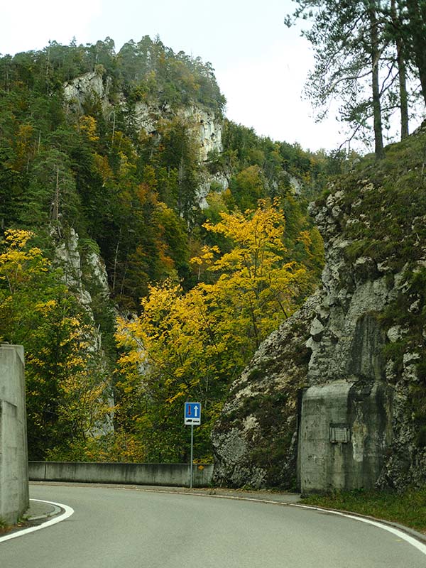 Fotografie Landschaft Wald und Berge aus einem Alfa Romeo Junior